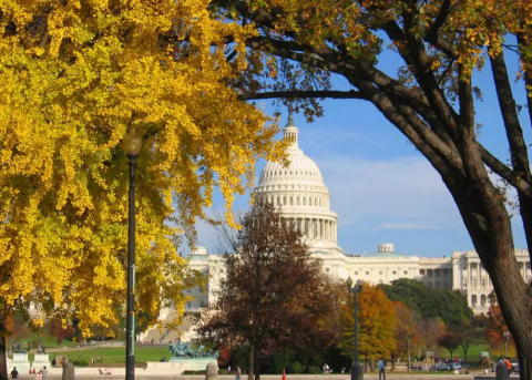 Capitol in the fall